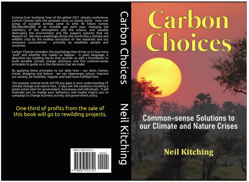 Reflections on Carbon Choices